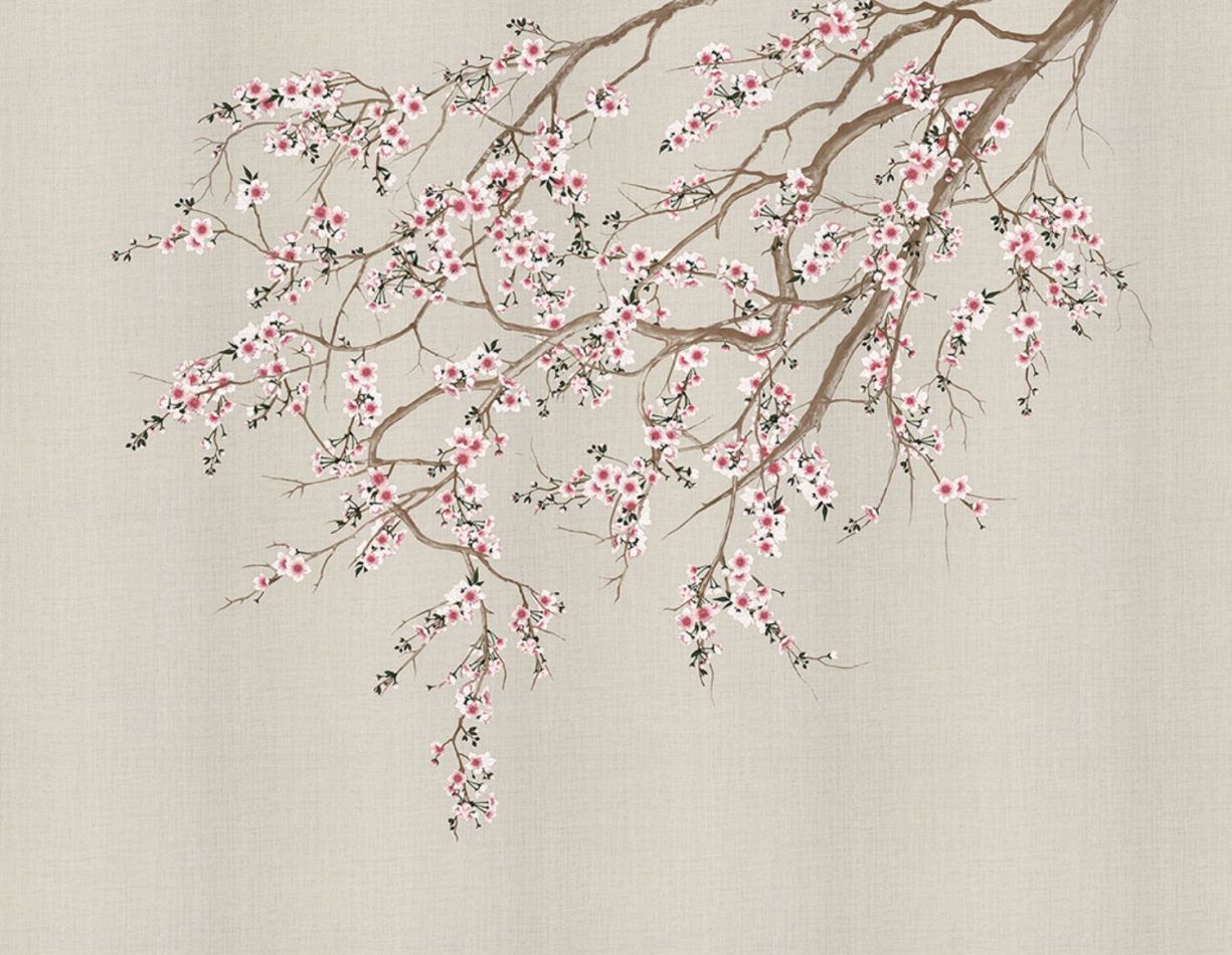 Preview: Haori KMN05-E