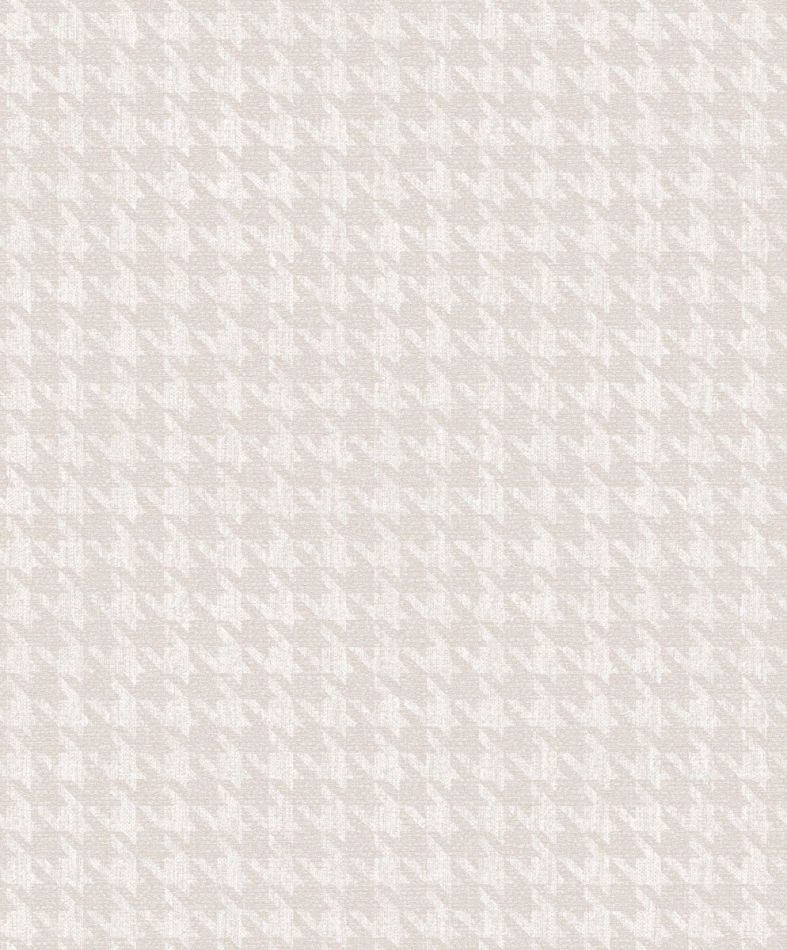 Preview: Gigi Star ILA504