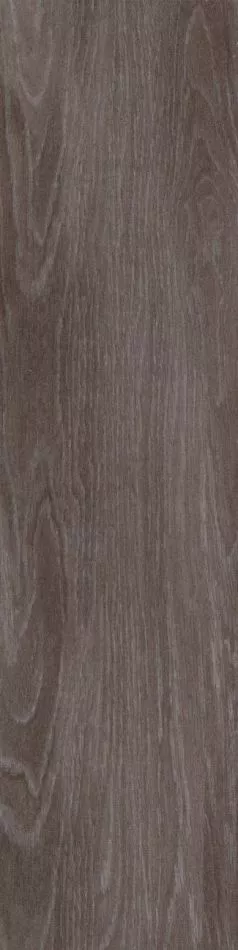 Teppichmodul Cara MO 036