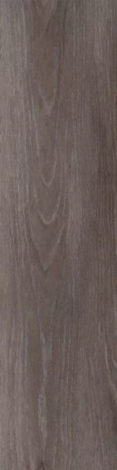 Teppichmodul Cara MO 036