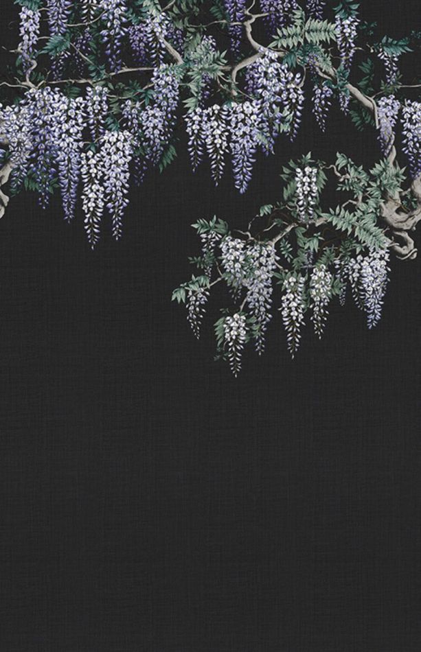 Preview: Iromuji KMN07-C