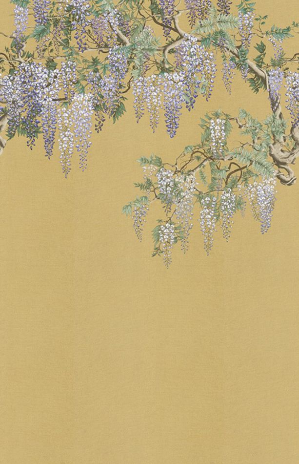 Preview: Iromuji KMN07-A