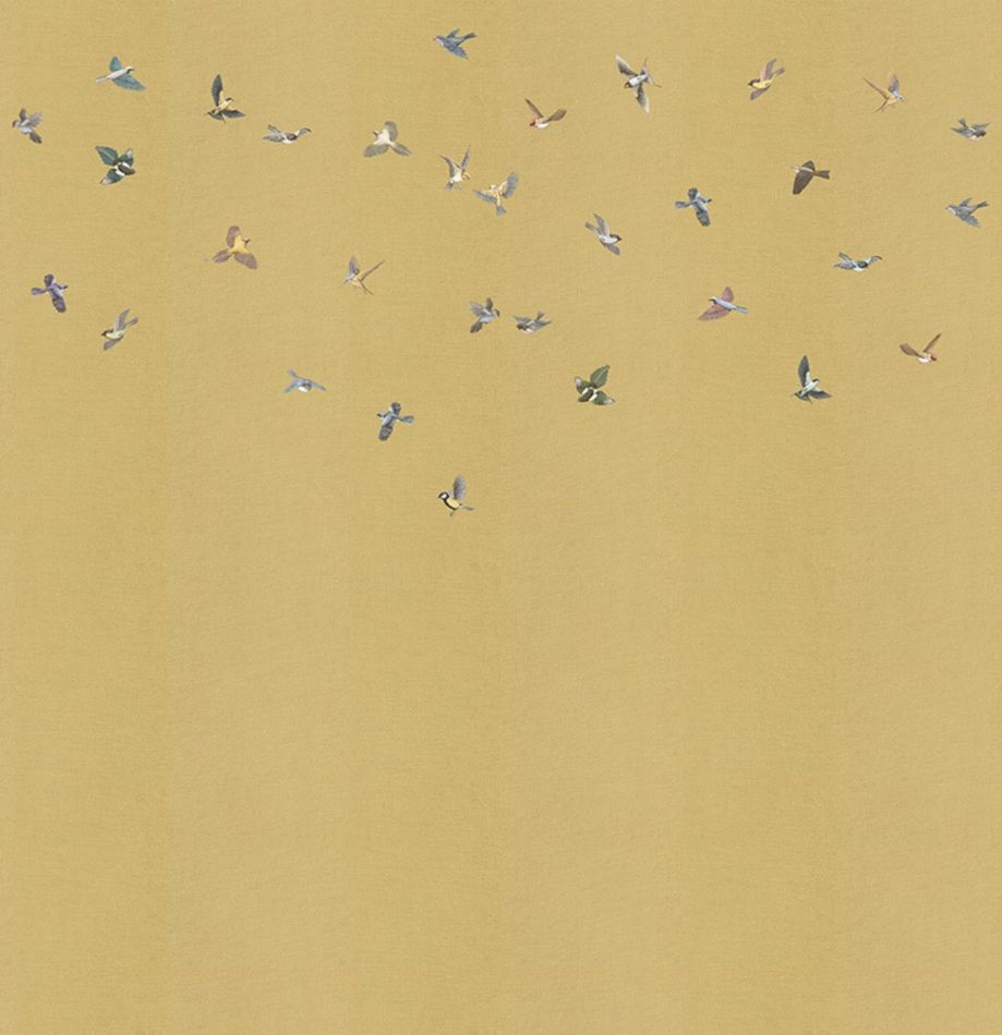 Preview: Yuki KMN16-A