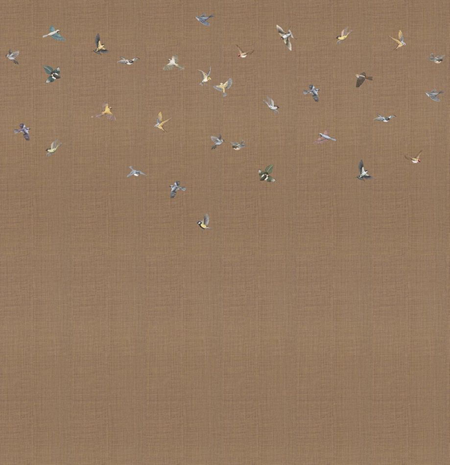 Preview: Yuki KMN16-B