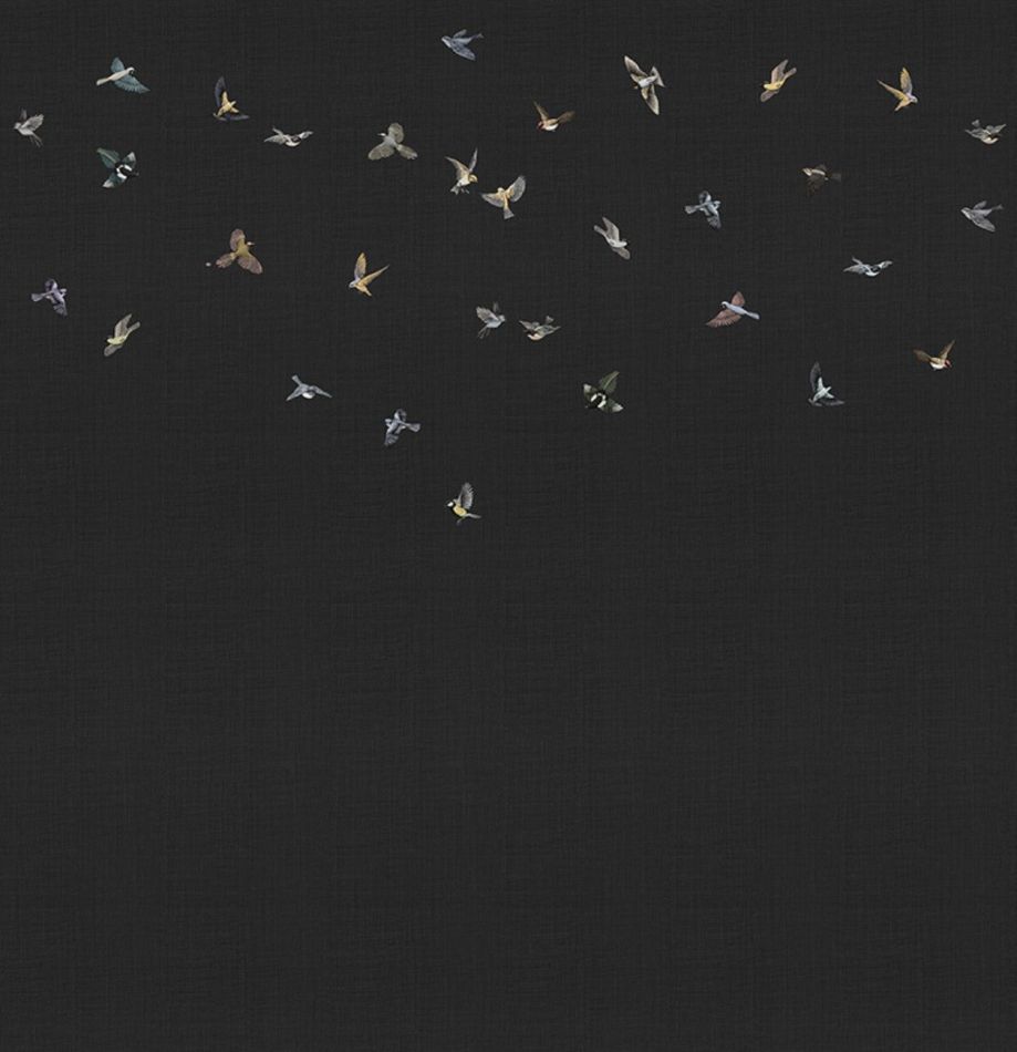 Preview: Yuki KMN16-C