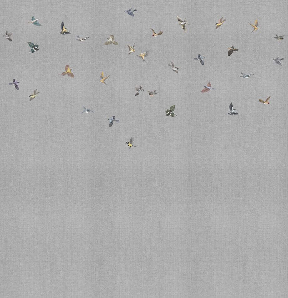 Preview: Yuki KMN16-D