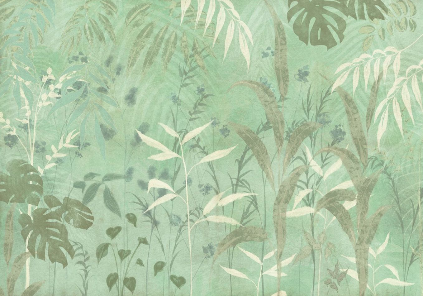 Preview: Luisa BL4-001