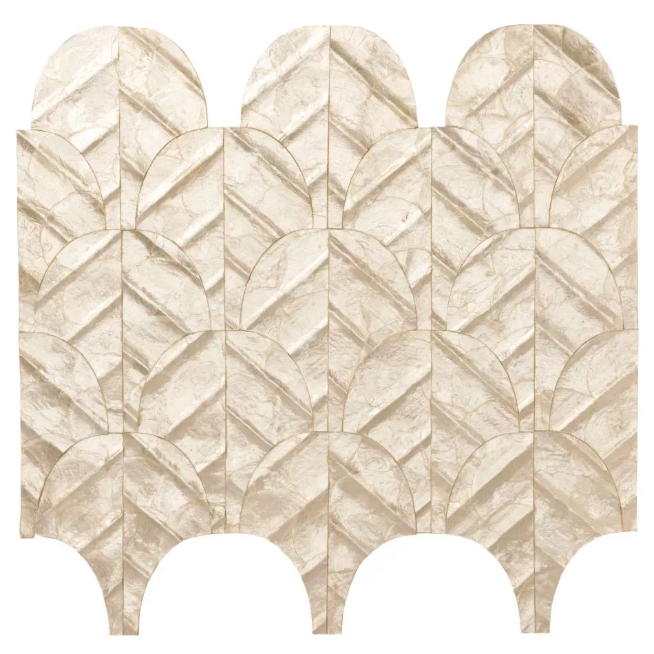 Abalone 70321 Coquille