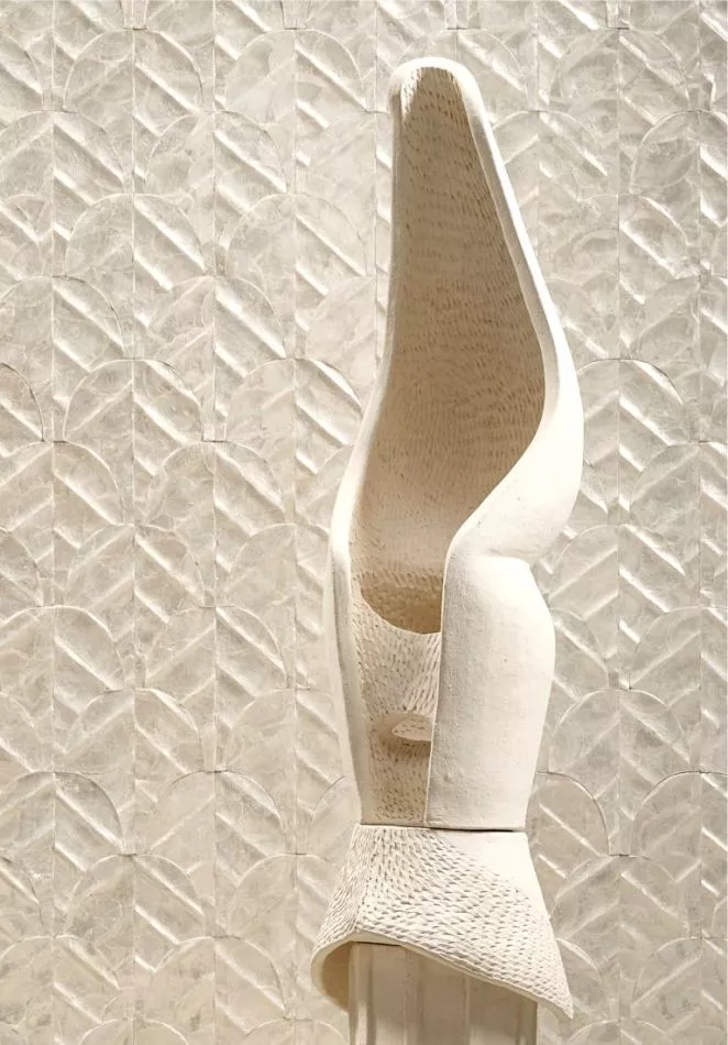 Abalone 70321 Coquille