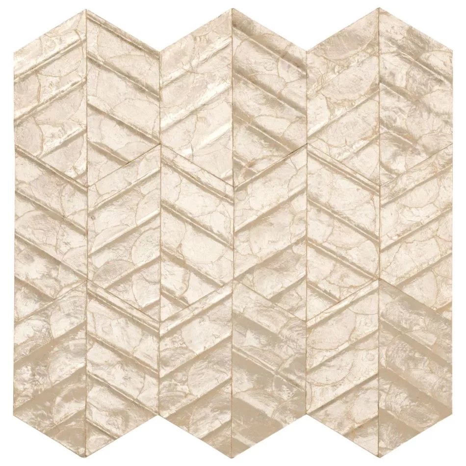 Lucea 70311 Coquille