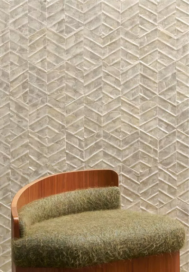 Lucea 70311 Coquille