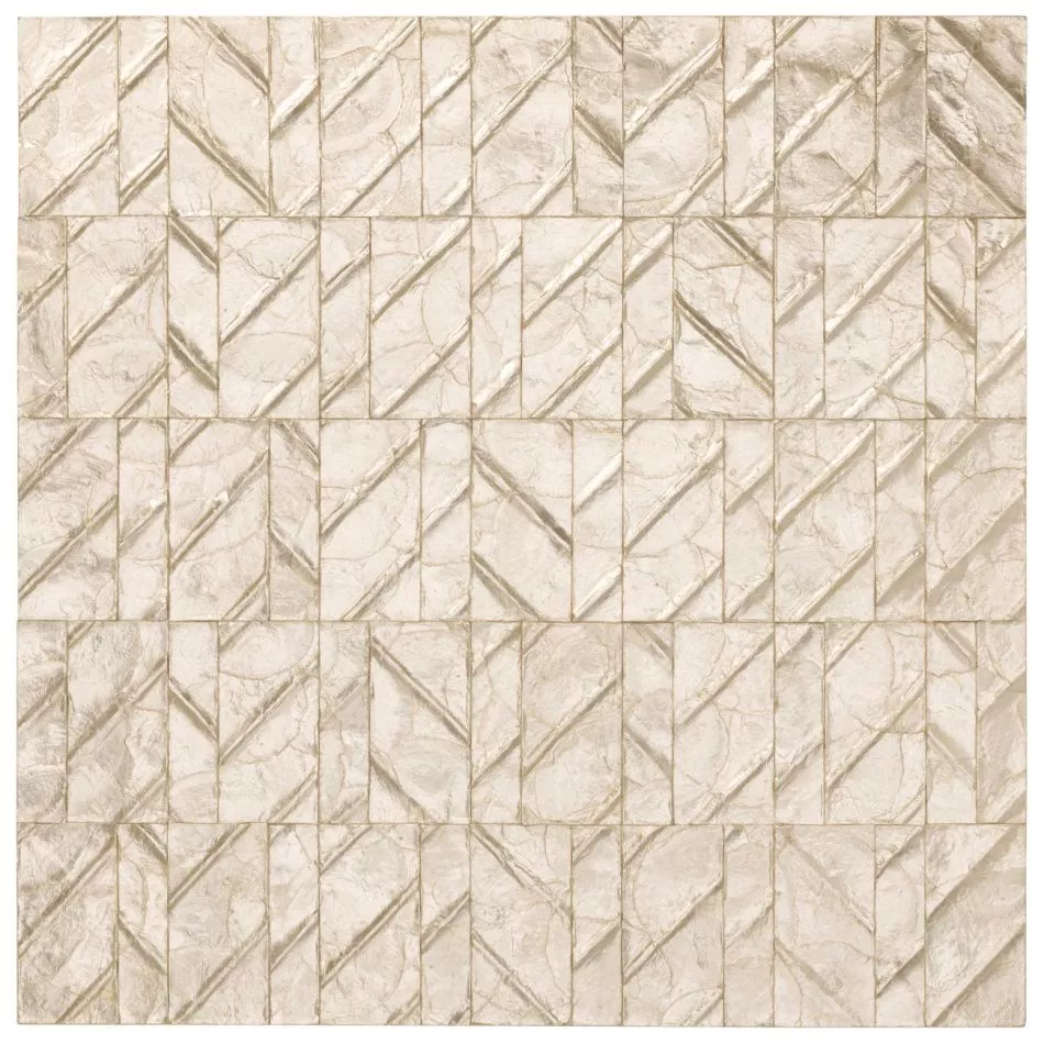 Perula 70301 Coquille