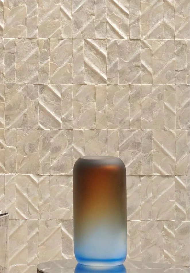 Perula 70301 Coquille