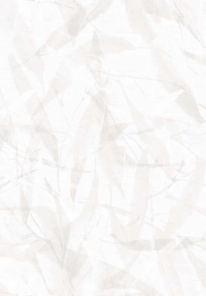 Preview: Shisen-do MF205