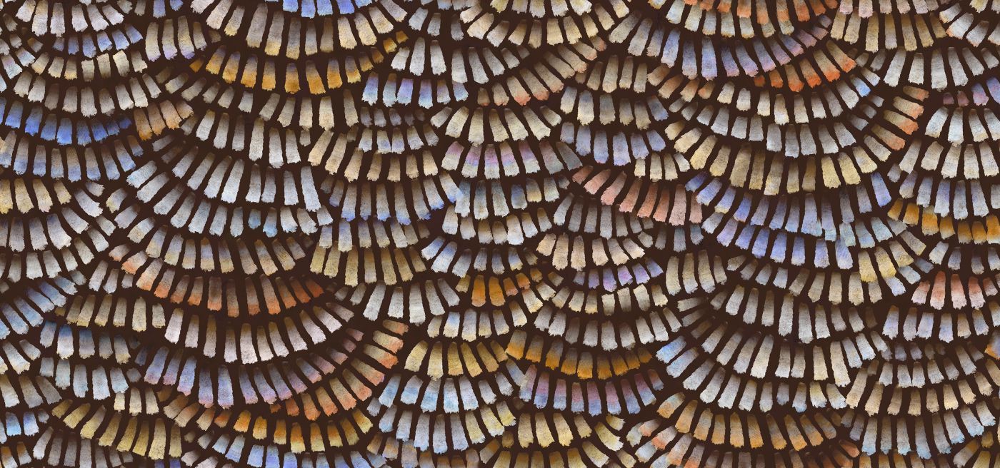 Preview: Dandelion Cranes MO4021 Prisma