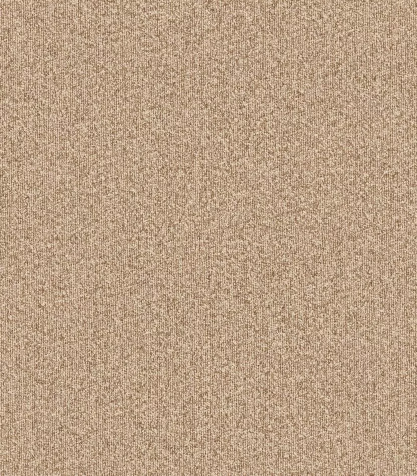 Montagna 63527 Biscuit