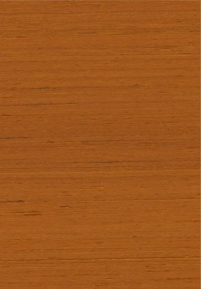 Mandya 35422 Spice