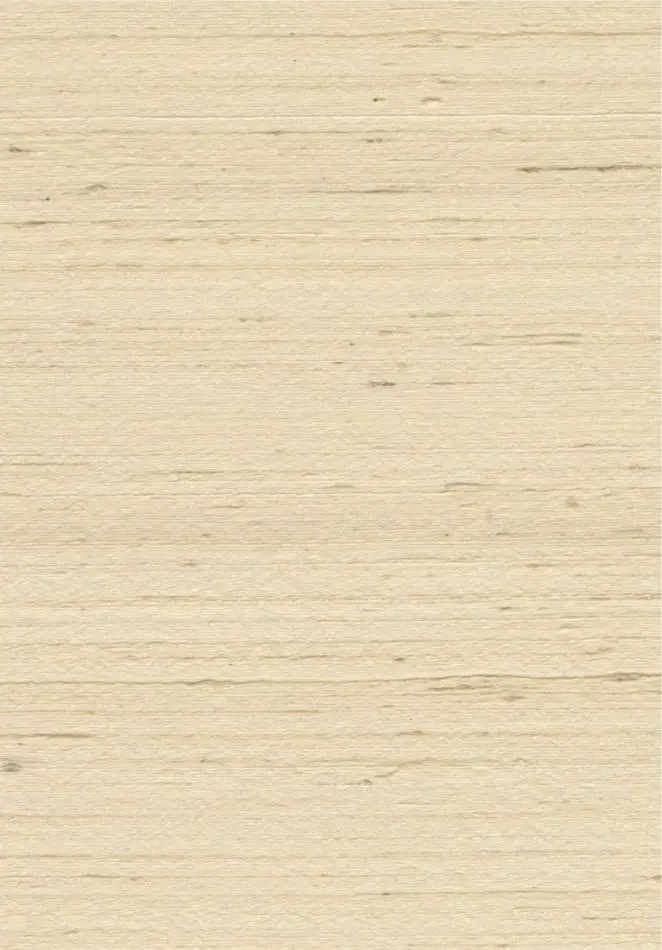 Mandya 35429 Bone