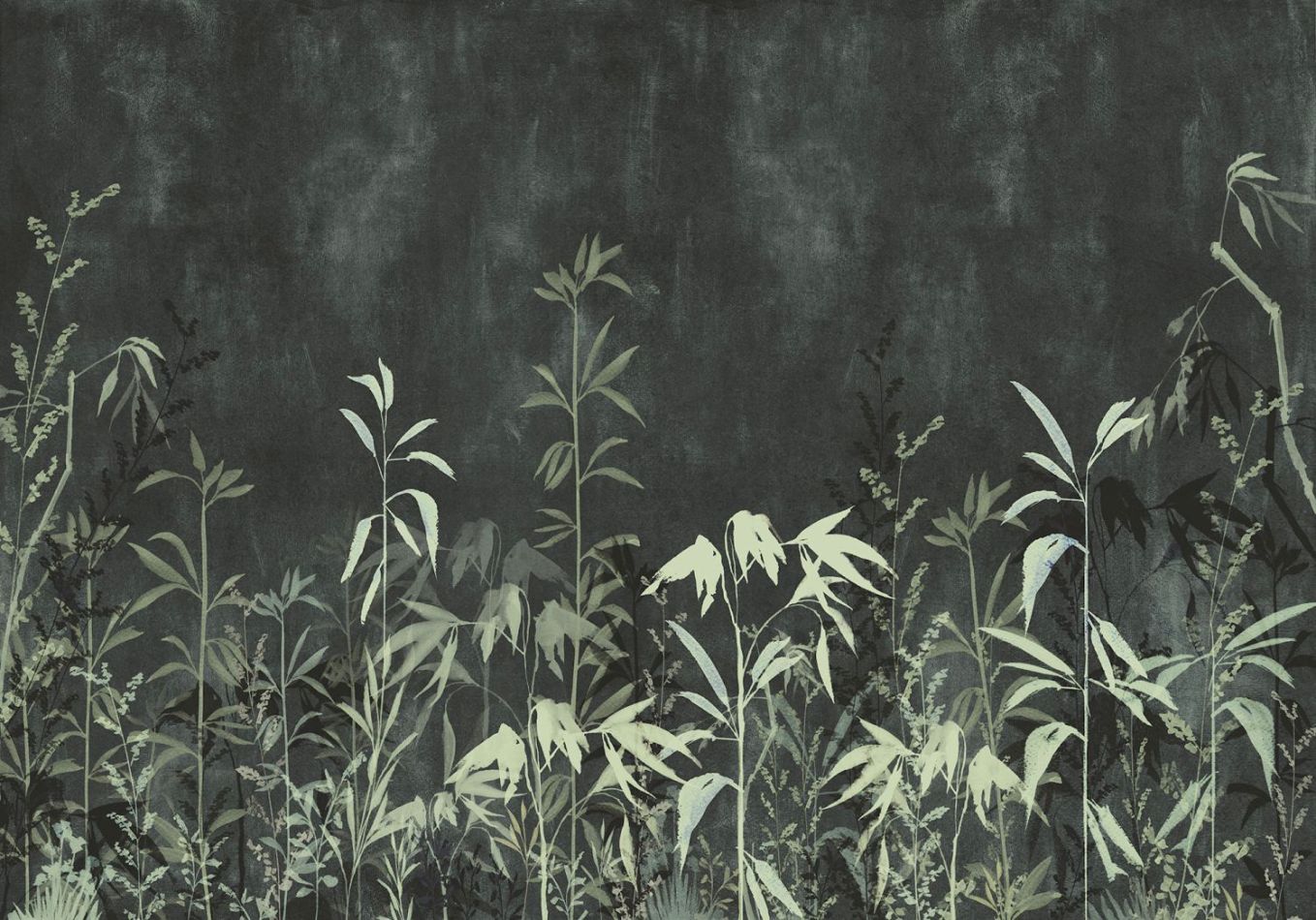 Preview: Nero Perenne BL4-046