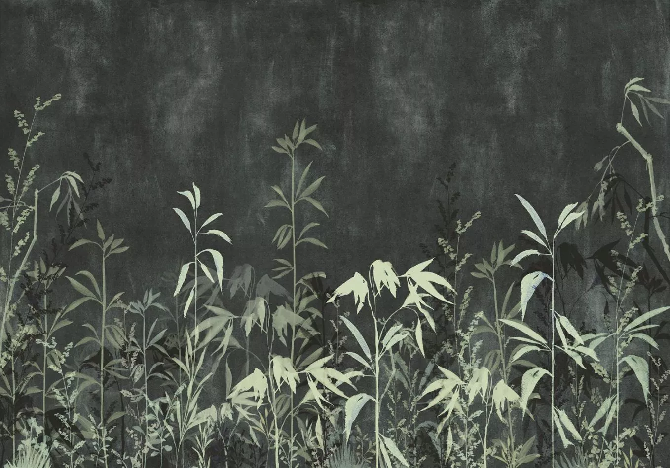 Nero Perenne BL4-046