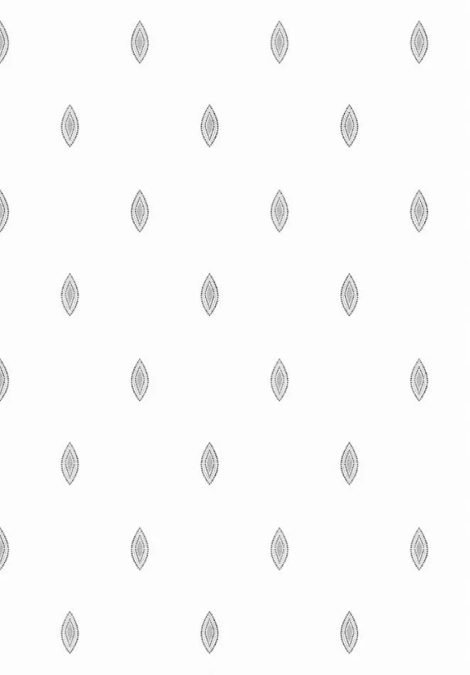 Dolce OTH308 Starlight