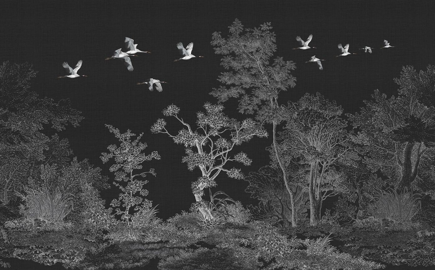 Preview: Obi KMN13-C