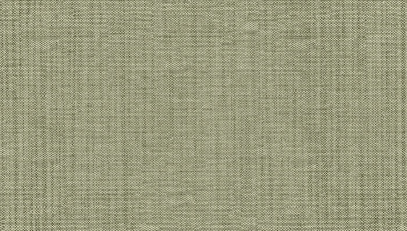 Preview: Orbit Farn ORB105