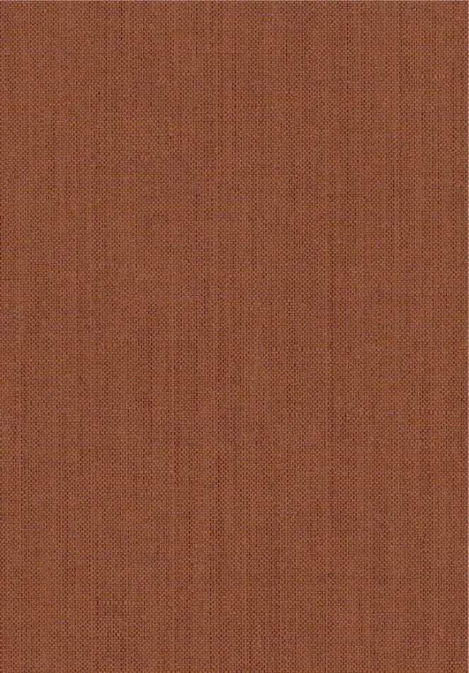 Orbit Spice ORB106