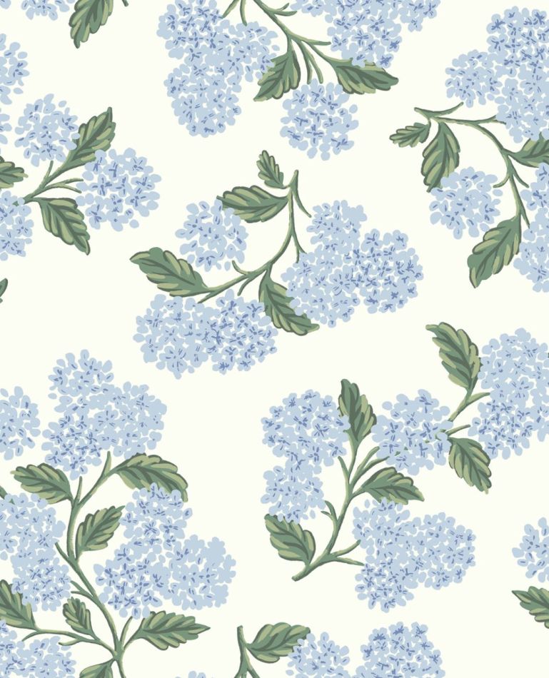 Preview: Hydrangea RI5143 White/Blue