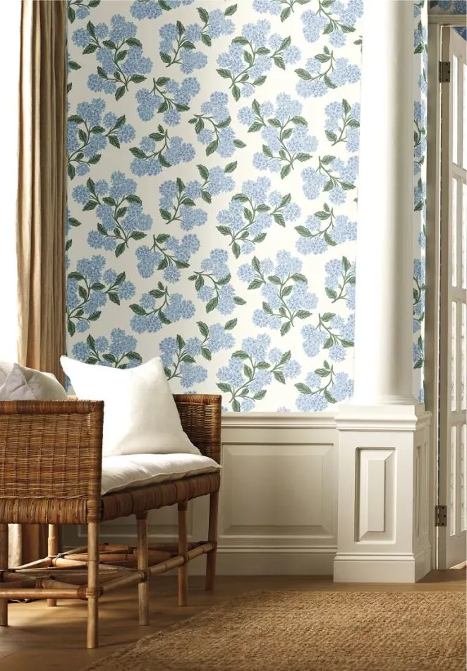 Hydrangea RI5143 White/Blue