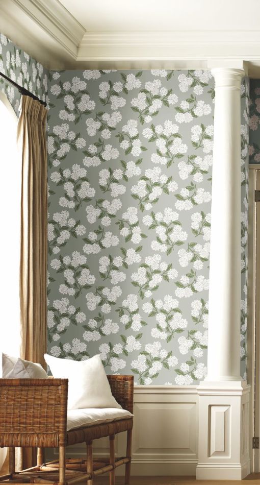 Preview: Hydrangea RI5144 Grey