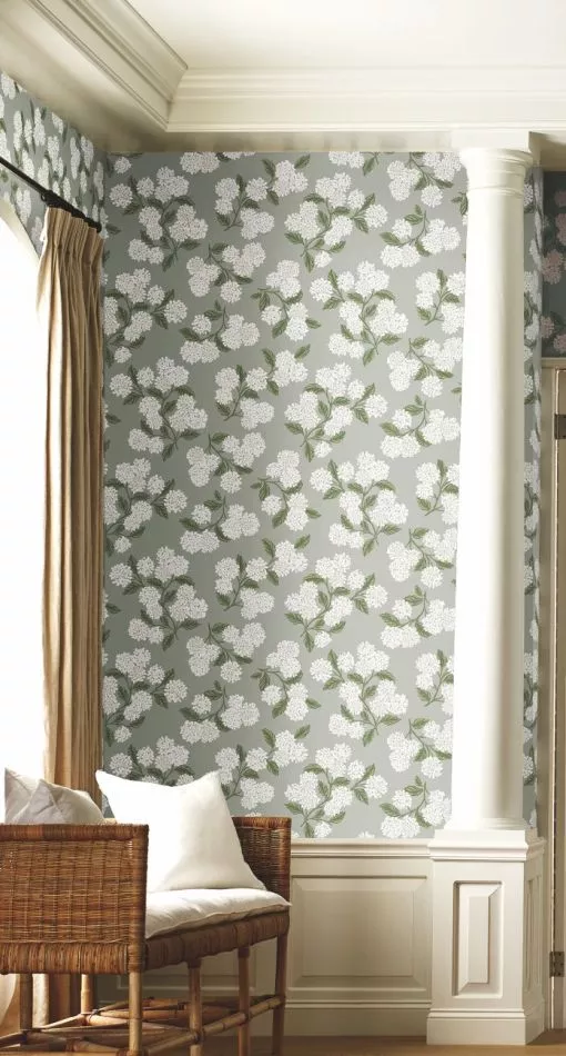 Hydrangea RI5144 Grey