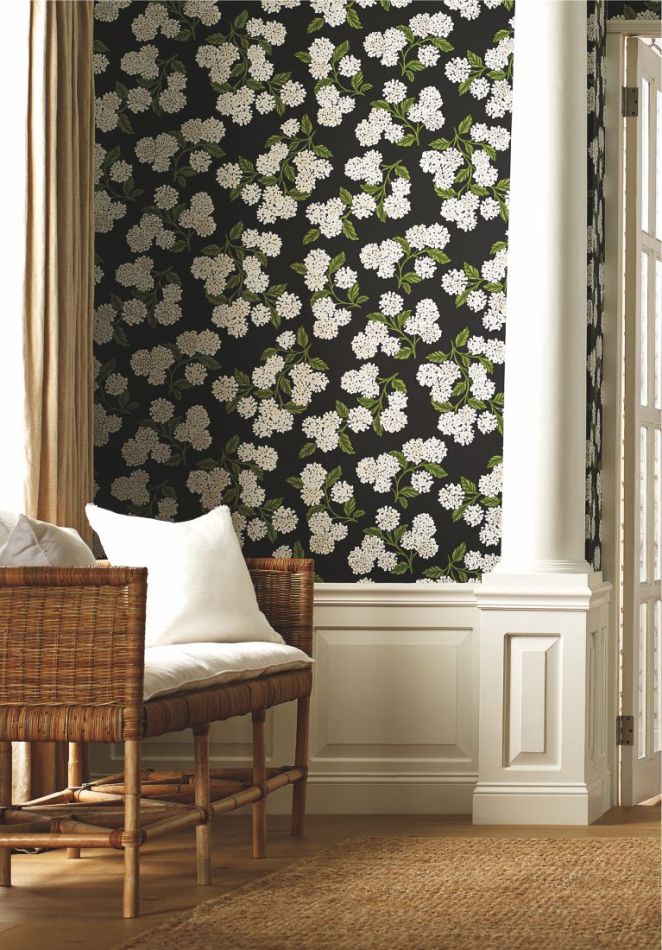Preview: Hydrangea RI5146 Black