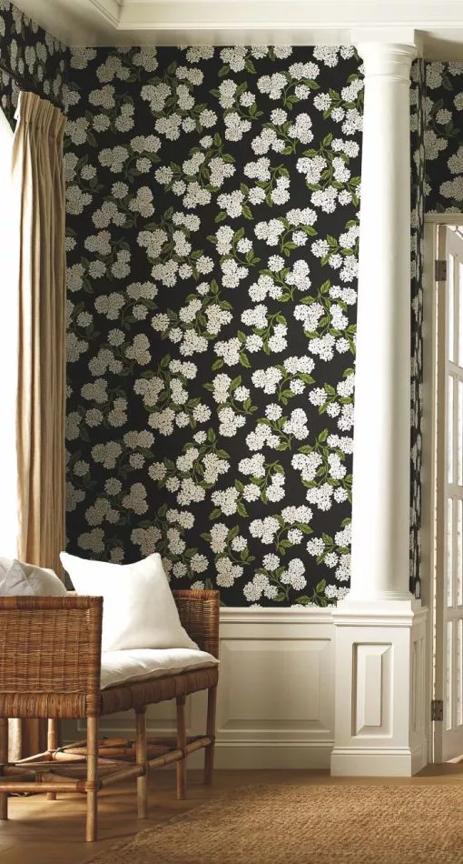 Hydrangea RI5146 Black