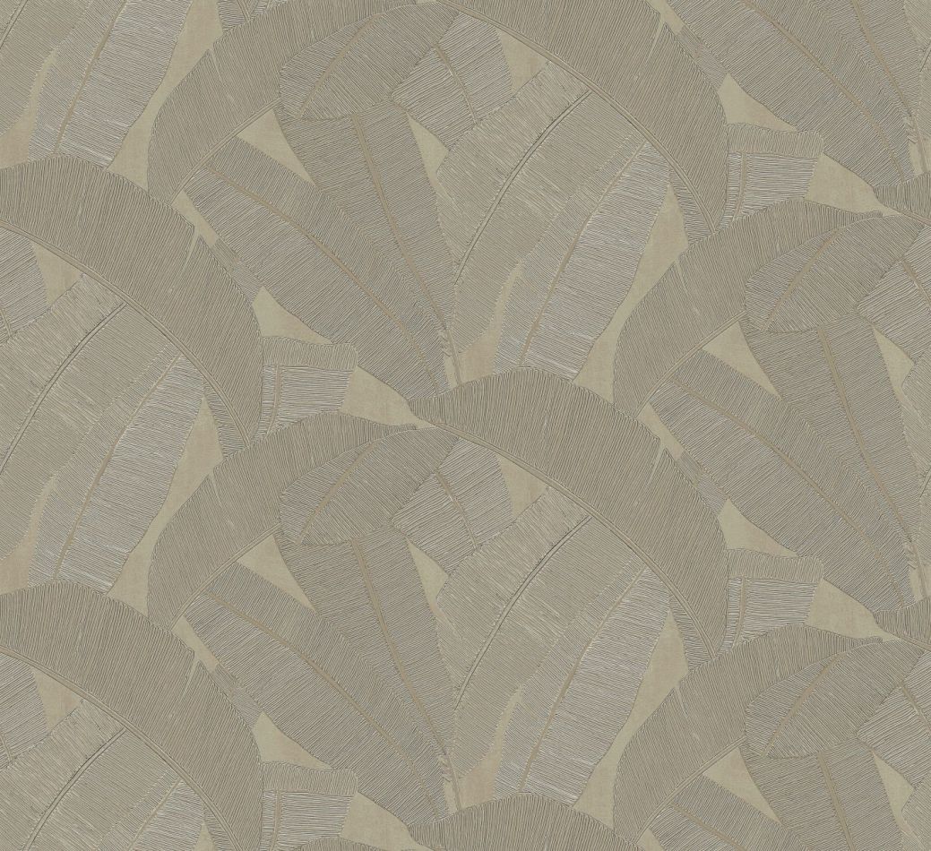 Preview: Banyan Elm RIC206