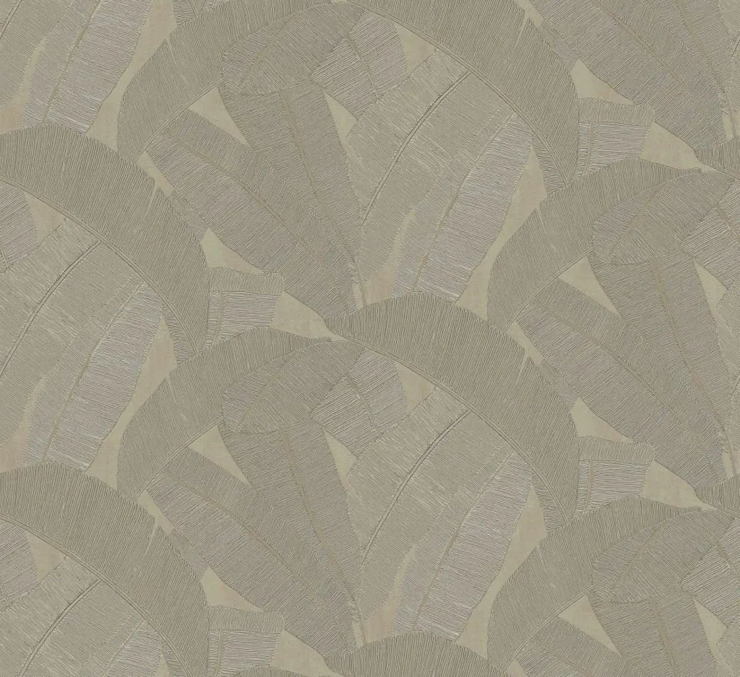 Banyan Elm RIC206