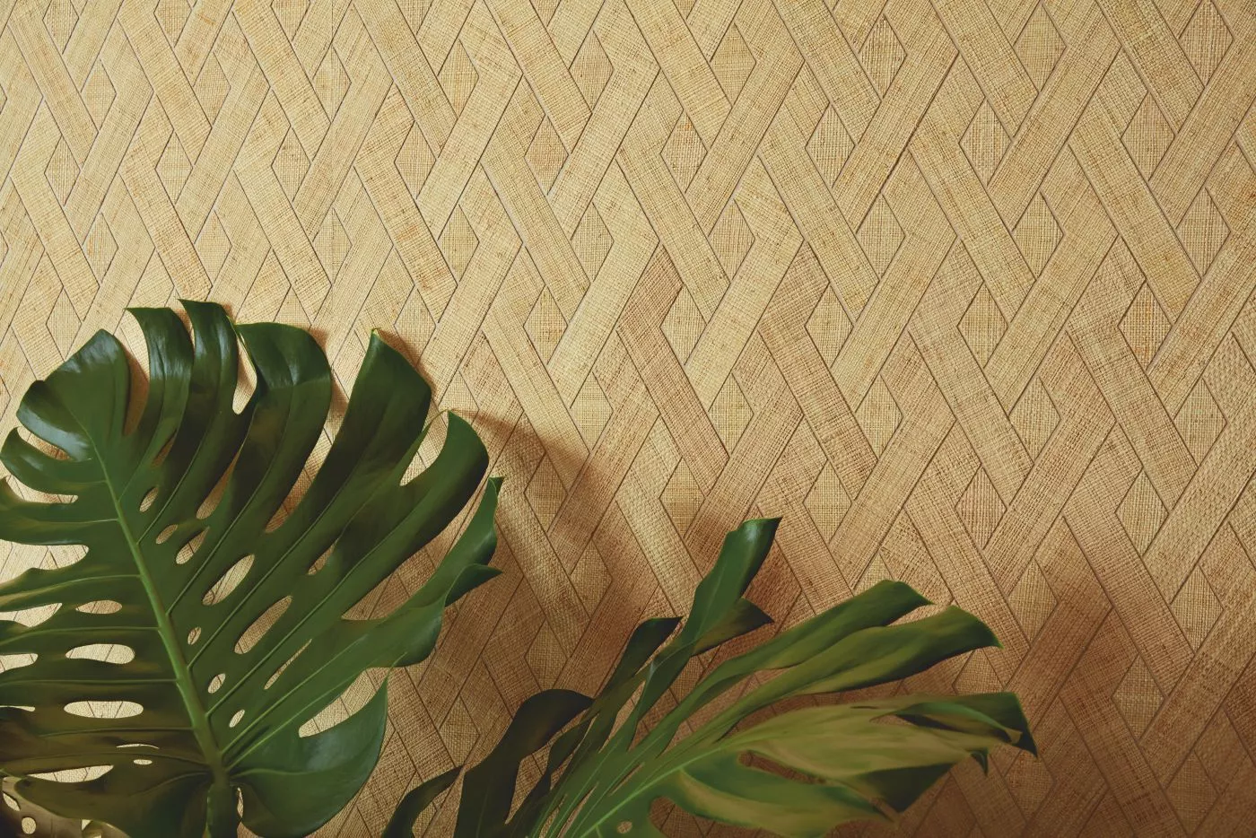 Entrelazados RM1019 04 Une élégante géométrie