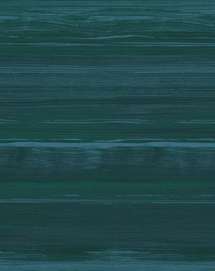 Esprit libre RM1024 67 Le long du pacifique