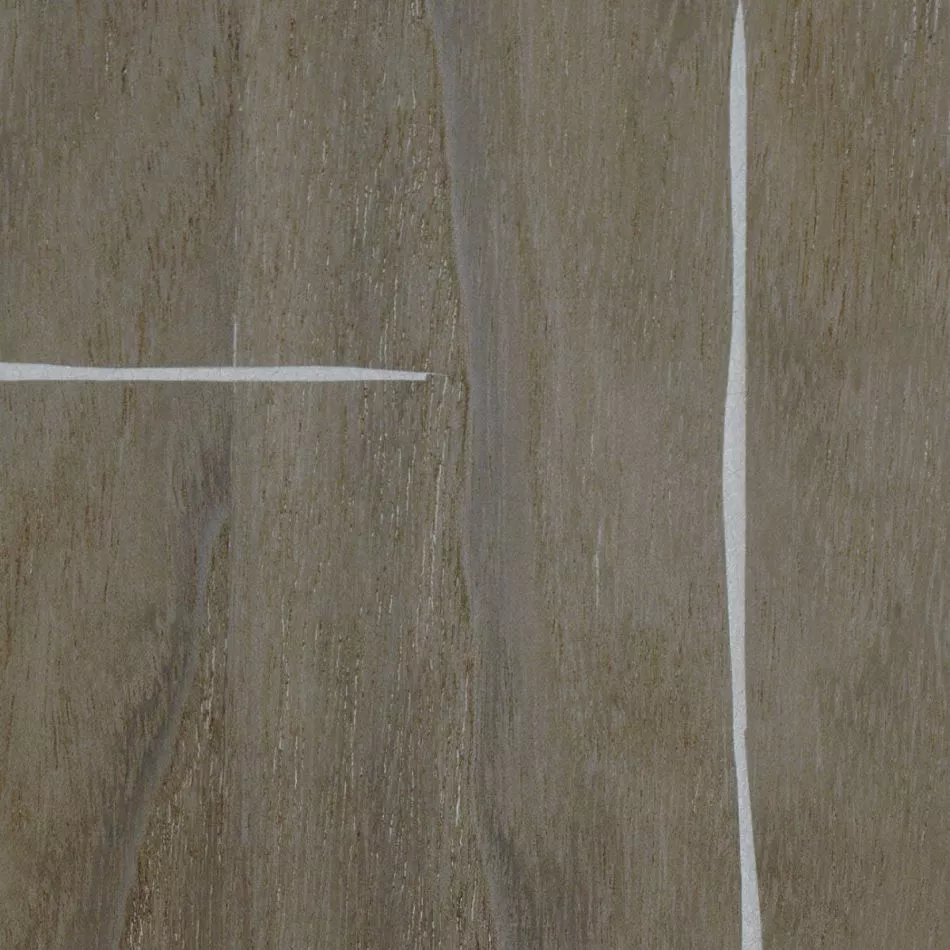 Le roi soleil RM1038 82