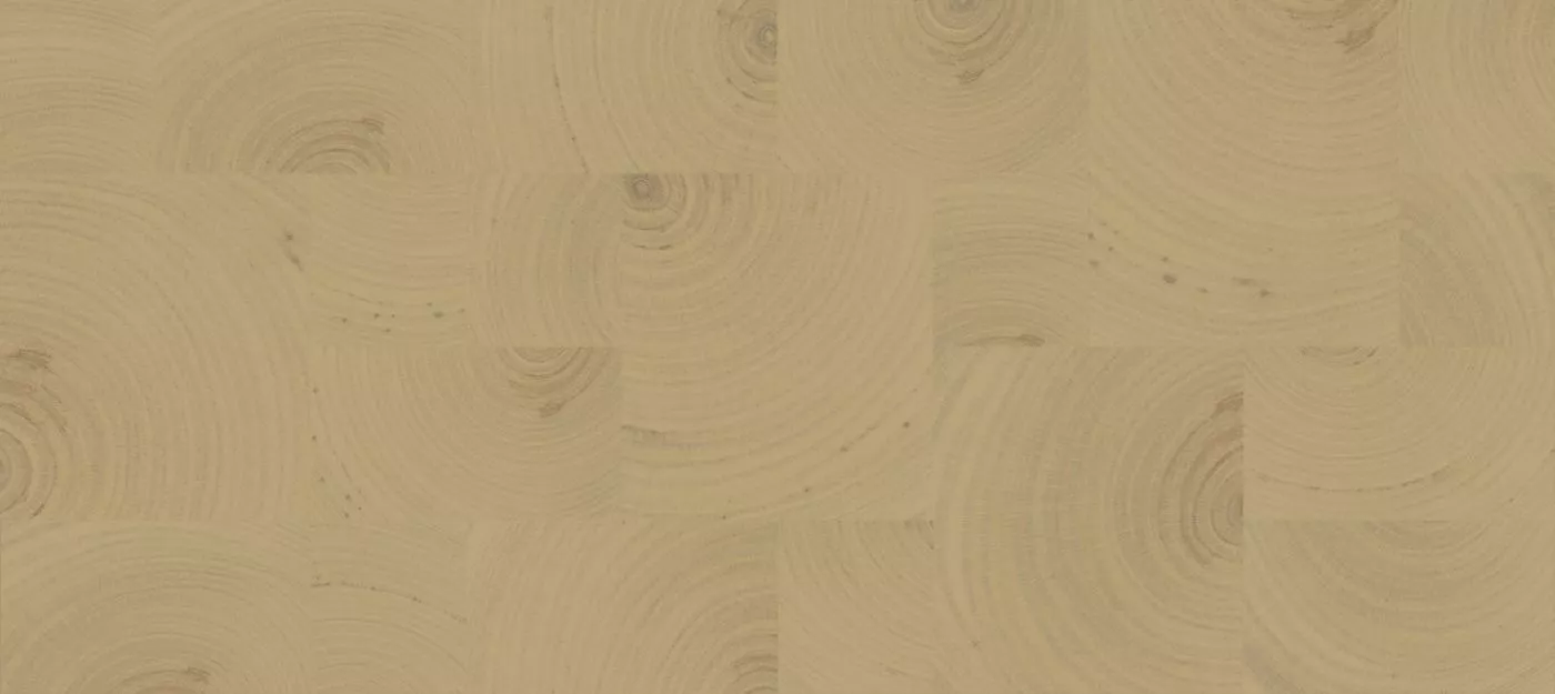 Empreintes RM1040 15