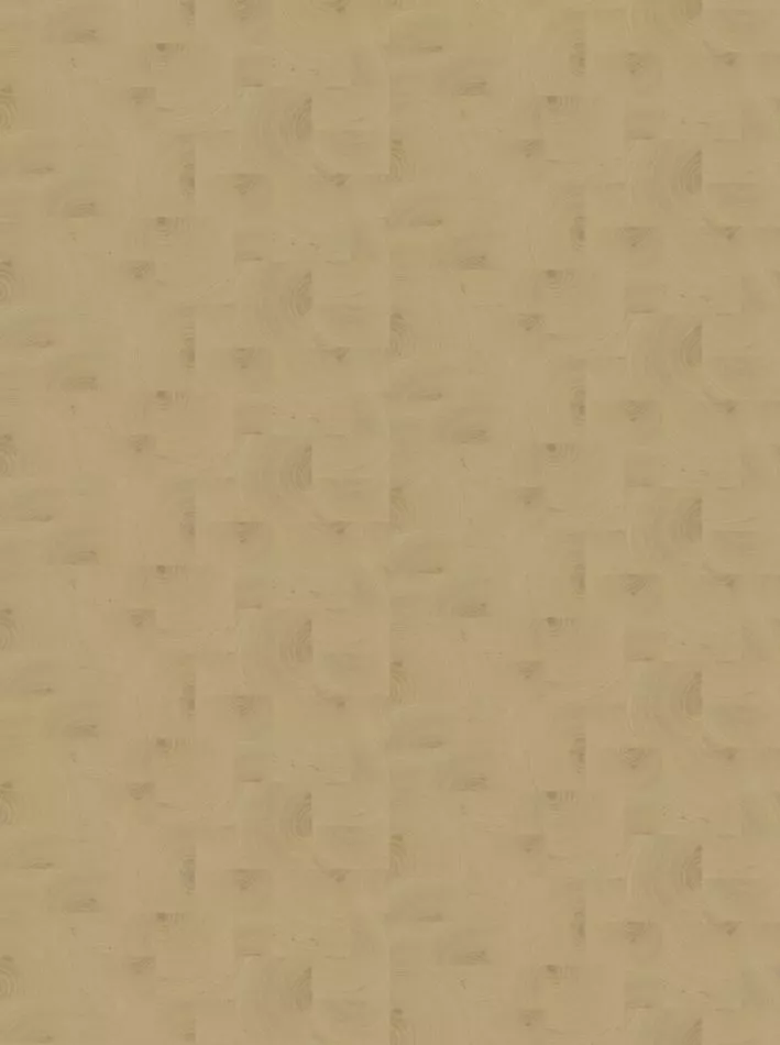 Empreintes RM1040 15