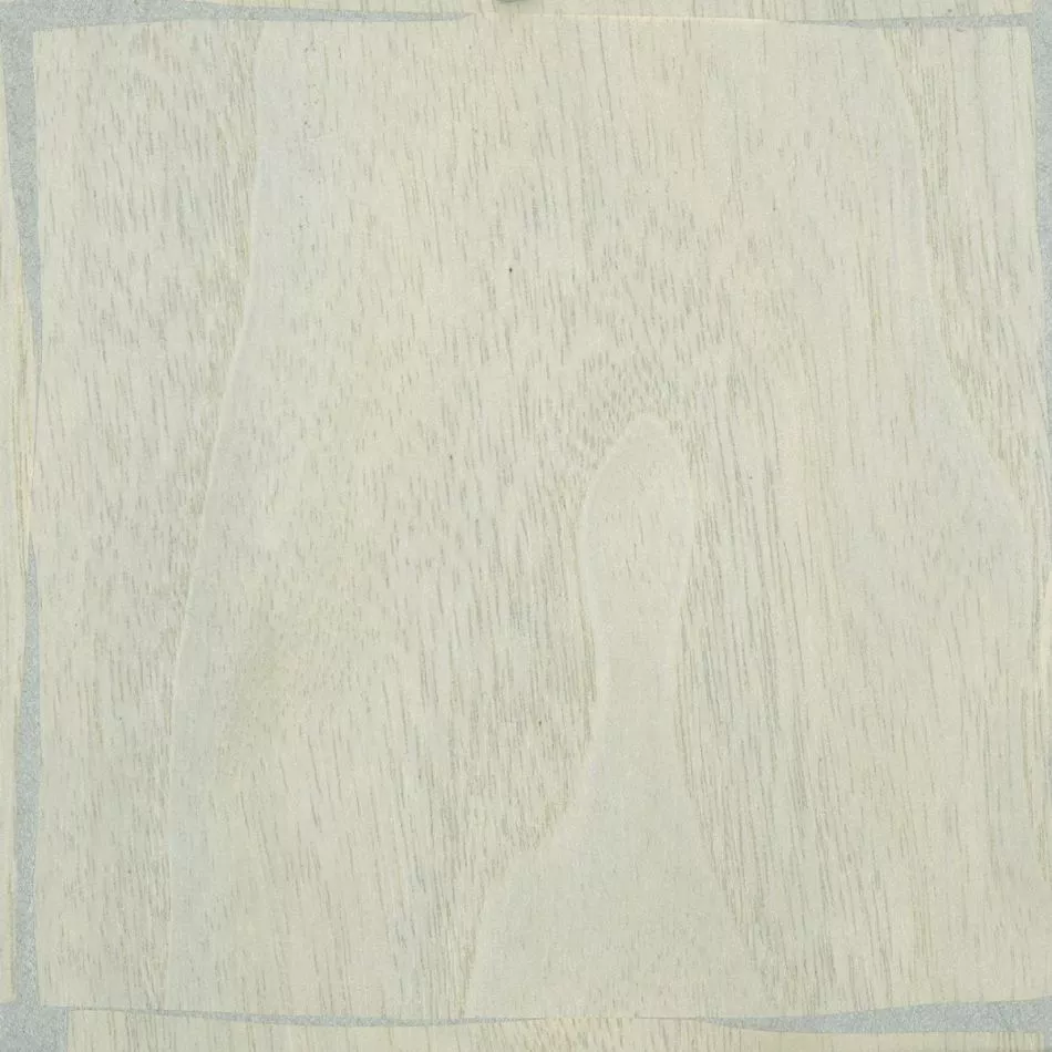 Feuilles d'or RM1041 42