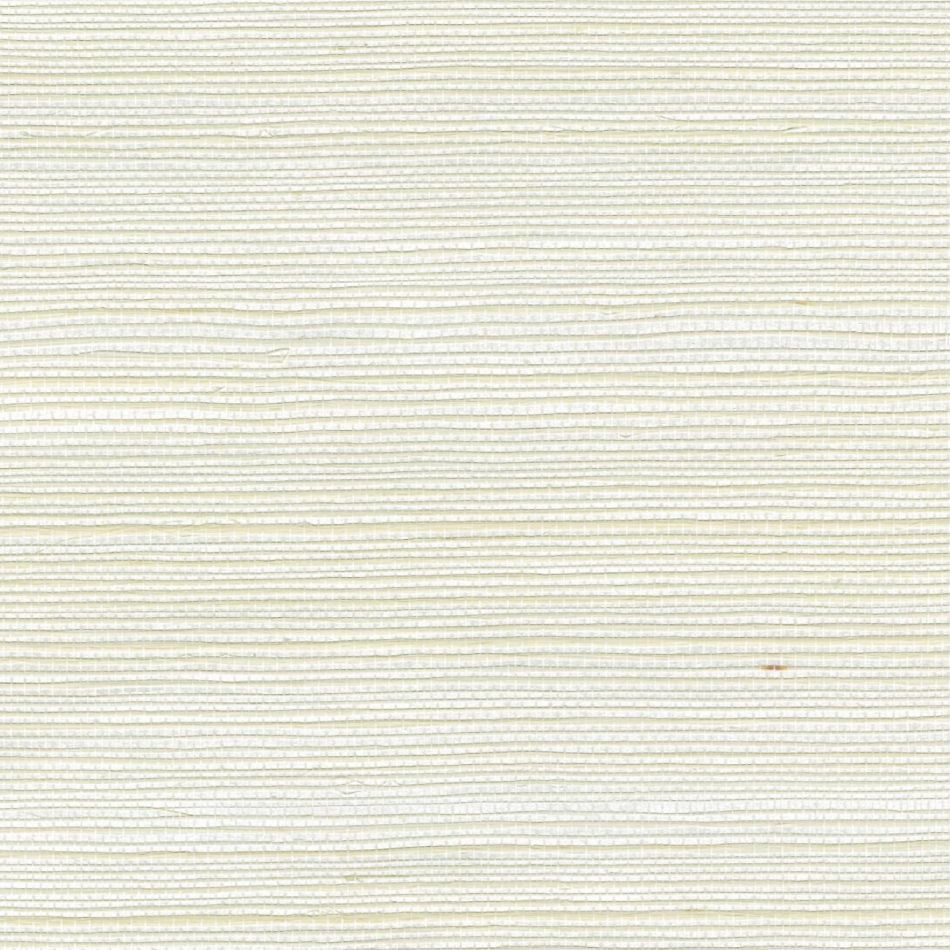 Preview: Sisal métallique RM1073 90 Une puissante attraction