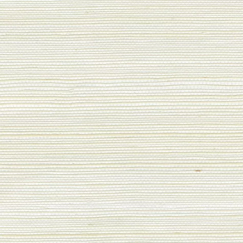 Sisal métallique RM1073 90 Une puissante attraction