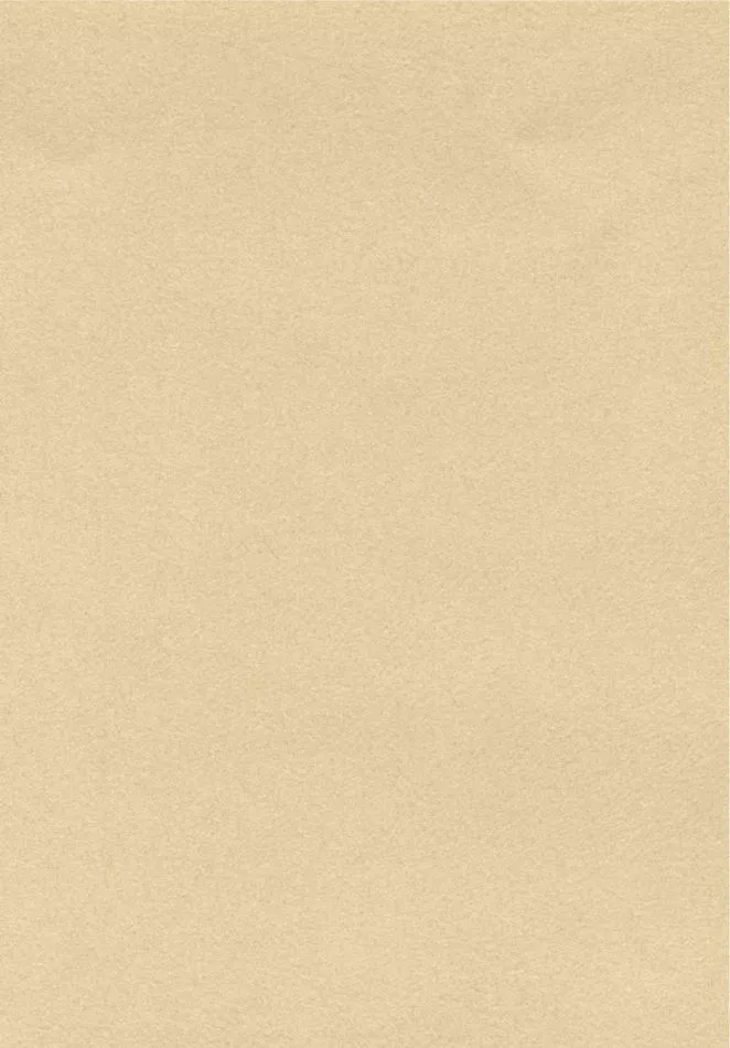 Cocoon RM1087 02 L'échelle du temps