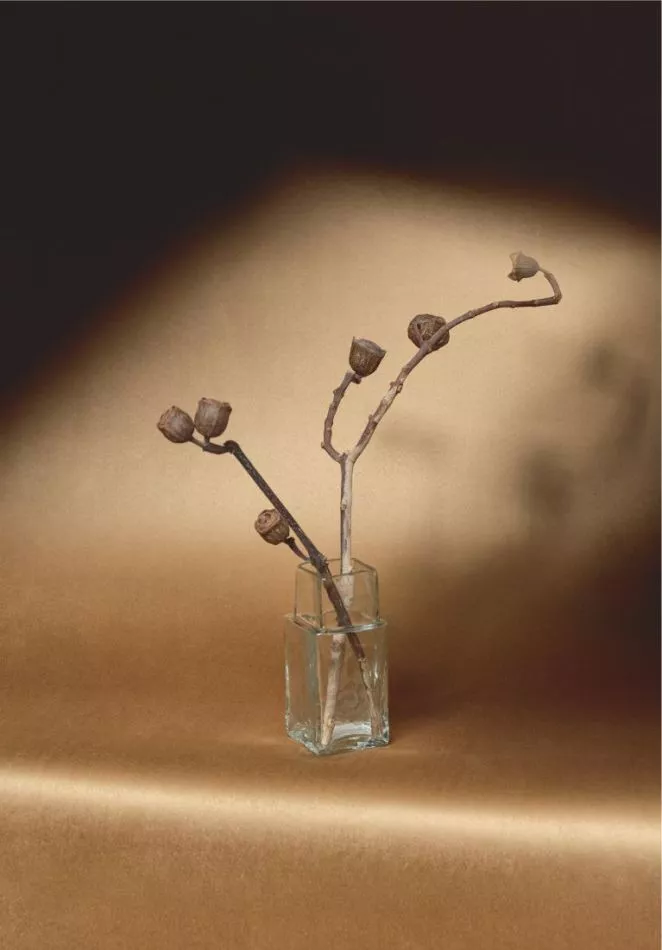 Cocoon RM1087 70 Une deuxième peau