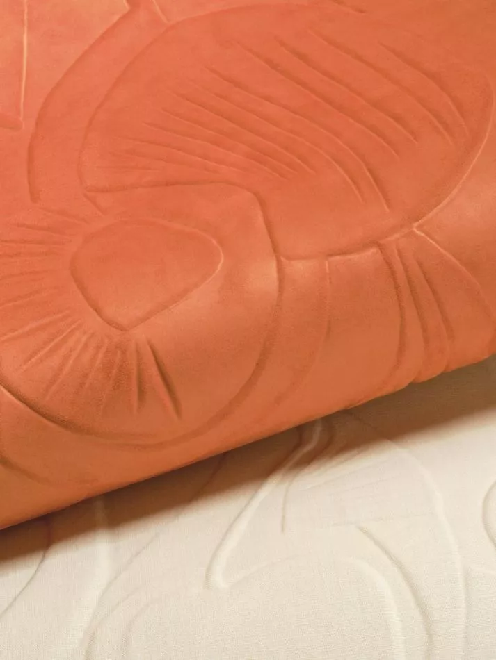 Colosse fruitier RM1090 31