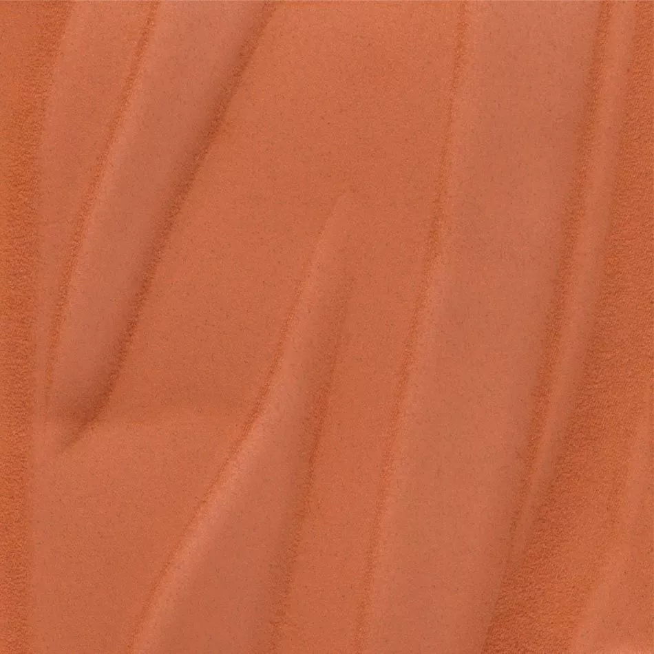 Herbier RM1099 31 Sienne de feu