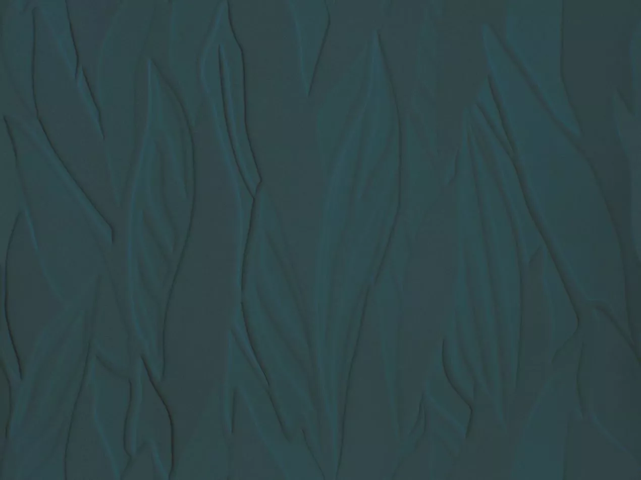 Herbier RM1099 67 Nuit botanique