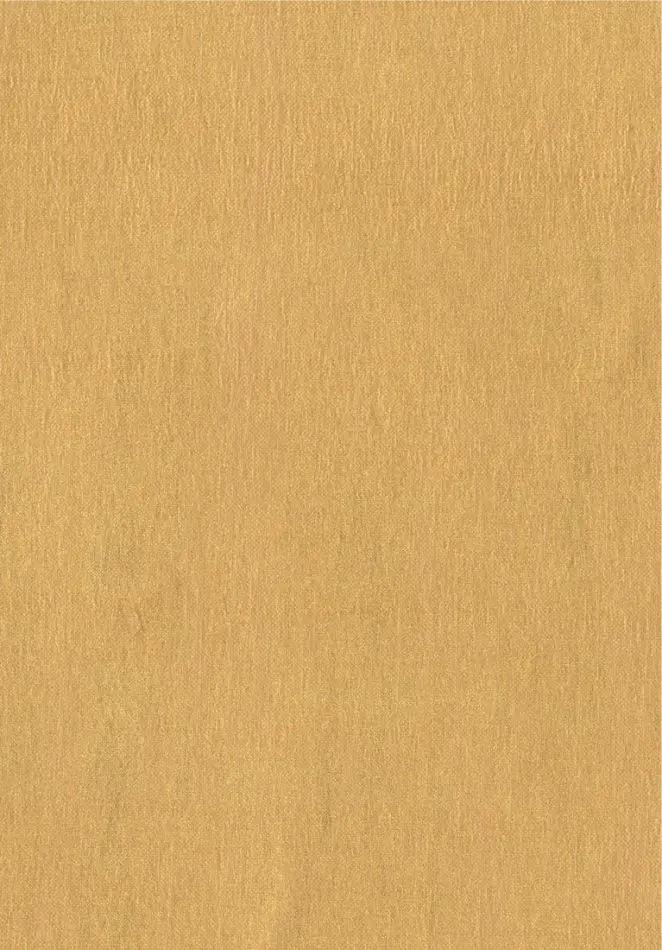 Vega RM613 91